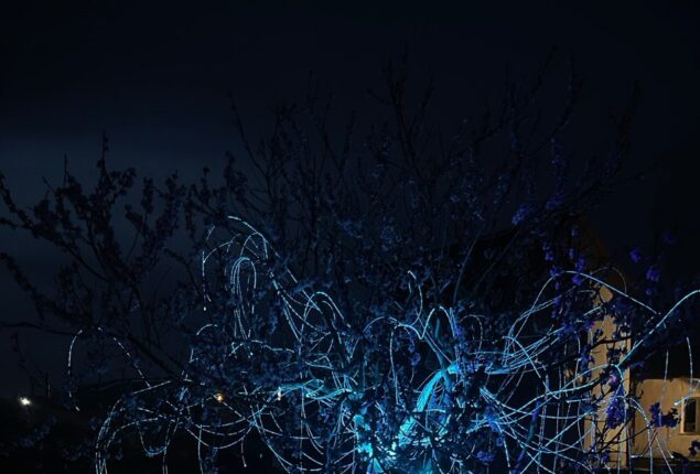 Световая инсталляция дерева Эйва из Аватара. Собственное производство